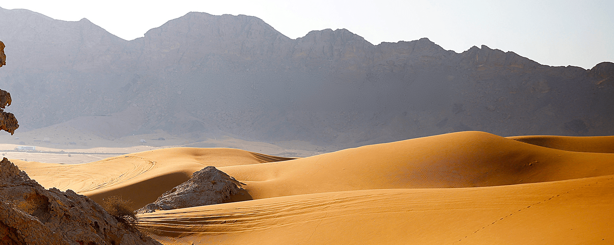 CONSÓRCIO DUCATI DESERTX